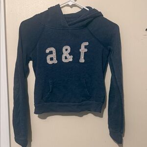 Abercrombie & Fitch Navy Hoodie